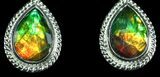Gorgeous Ammolite Earrings with Sterling Silver #143579-1